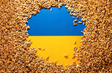 Польша и Венгрия запретили импорт зерна с Украины. К ним может присоединиться Болгария