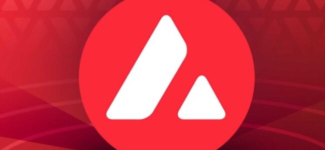 Компания Ava Labs запустила Web3 лаунчпад AvaCloud