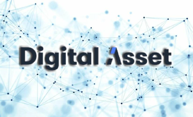 Компания Digital Asset запустила собственную блокчейн-сеть для институционалов