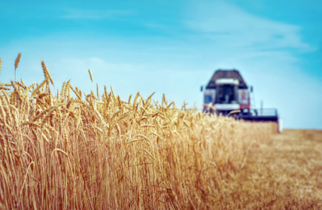 Акции НКХП взлетели на 91% на фоне разрыва зерновой сделки. Насколько это ожидаемо и чем чревато?
