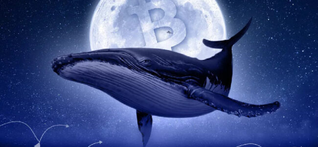 «Умный» кит заработал $3,5 млн на PEPE и закупился альткоинами